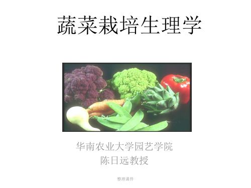 《蔬菜栽培生理学》