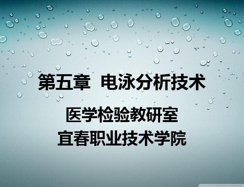 第五章 电泳分析技术