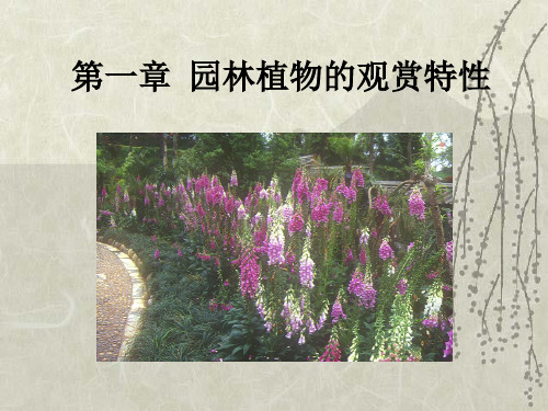 (完整版)第一章 园林植物的观赏特性1