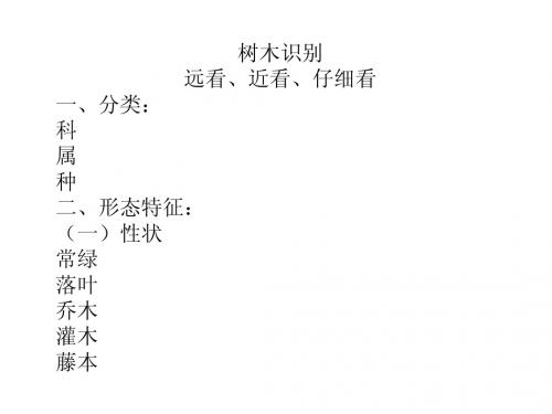 树木识别
