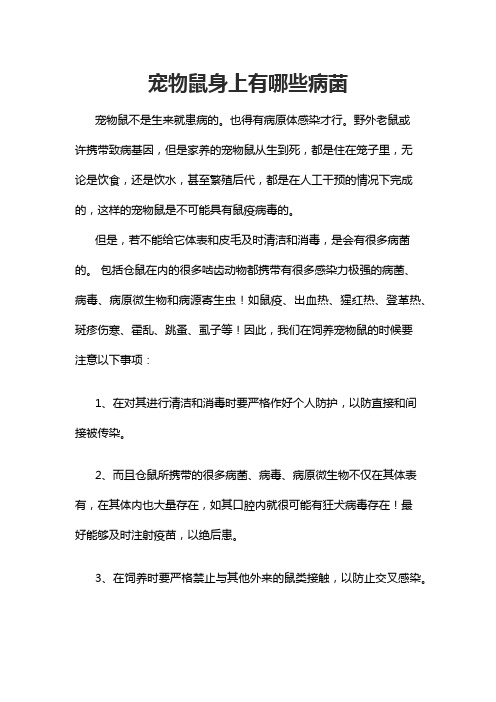 宠物鼠身上有哪些病菌
