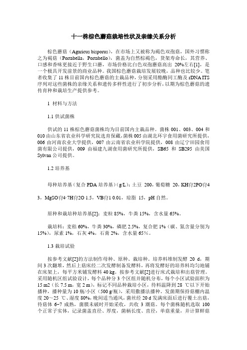 十一株棕色蘑菇栽培性状及亲缘关系分析