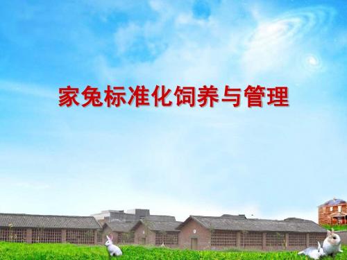 家兔标准化饲养与管理
