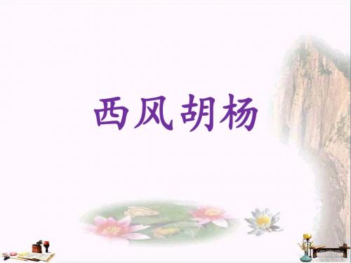 五年级语文上册 第9课 西风胡杨课件 语文S版