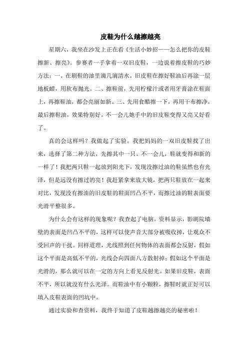 皮鞋为什么越擦越亮(科技小论文)