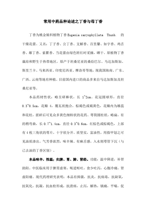 常用中药品种论述之丁香与母丁香