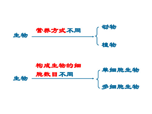 浙教版七年级科学上册2.6-物种的多样性1