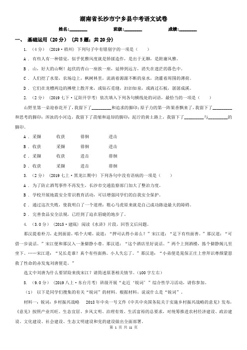 湖南省长沙市宁乡县中考语文试卷