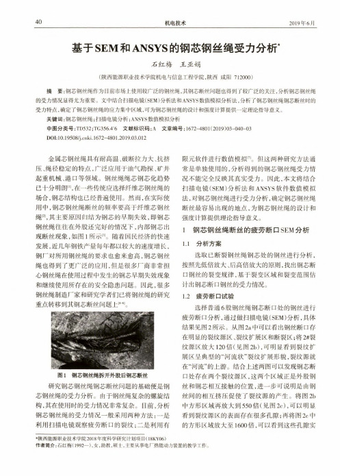 基于SEM和ANSYS的钢芯钢丝绳受力分析