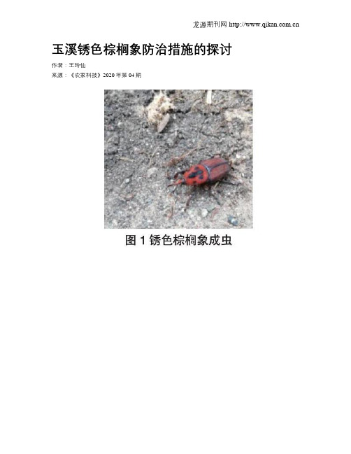 玉溪锈色棕榈象防治措施的探讨