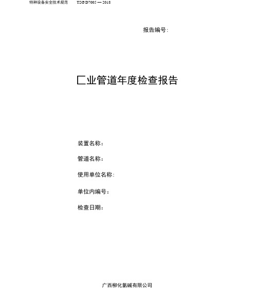 工业管道年度检查报告