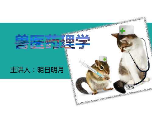 兽医药理-药物的跨膜运输