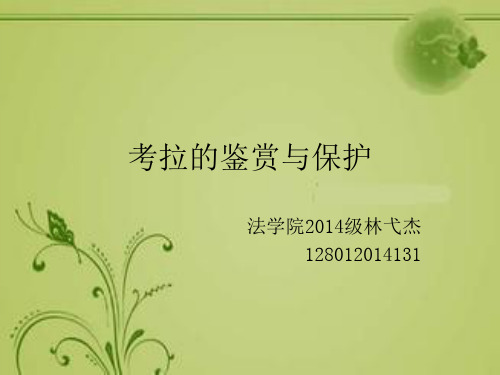 珍稀动物考拉的ppt