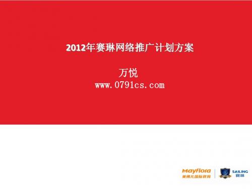 2012年赛琳网络营销推广计划方案书修改版
