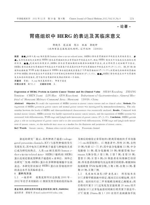 胃癌组织中HERG的表达及其临床意义_邵晓冬