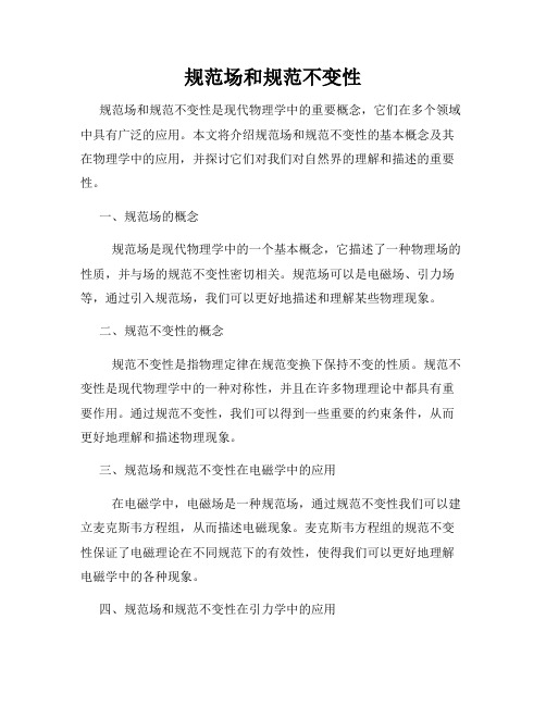 规范场和规范不变性