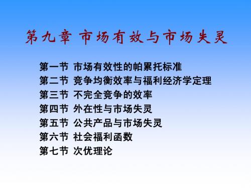 高级宏微观经济学----第9章1