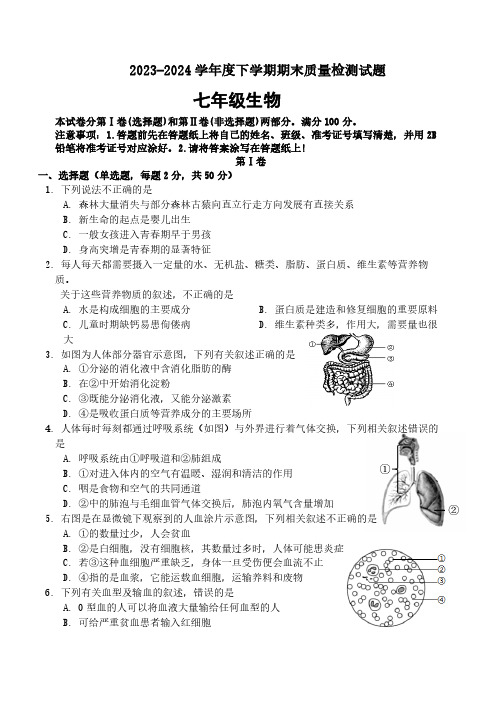 山东省临沂市兰陵县2023-2024学年七年级下学期期末考试生物试题(含答案)