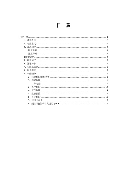 五险一金(自制版)