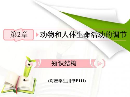 人教版教学课件2012高考生物总复习课件：21《通过神经系统的调节》知识研习(新人教版必修3)(共21张PPT)
