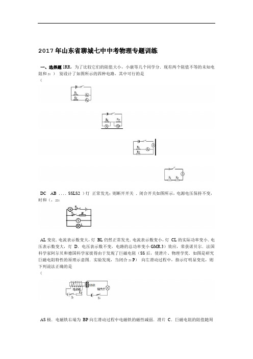 2017年山东省聊城七中中考物理专题训练解析版
