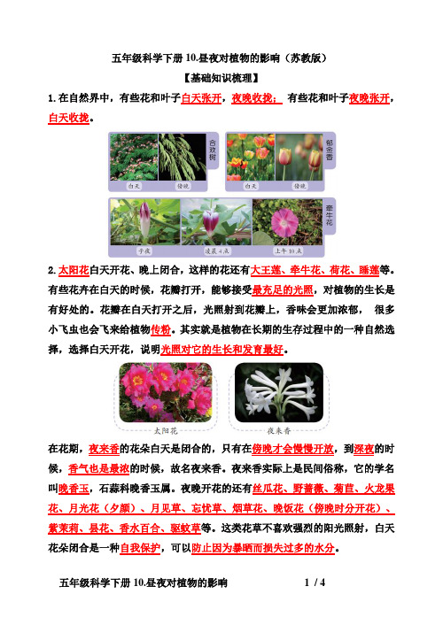 五年级科学下册10 昼夜对植物的影响 