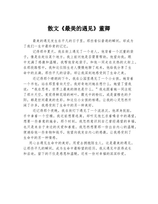 散文《最美的遇见》董卿
