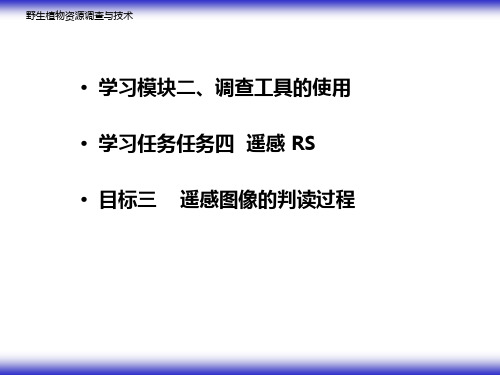 学习任务四遥感图像的判读与应用 - 遥感图像的判读过程