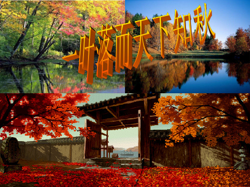 四年级上册语文课件-4 秋天｜苏教版 (共18张PPT)