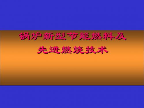《先进燃烧技术》PPT课件