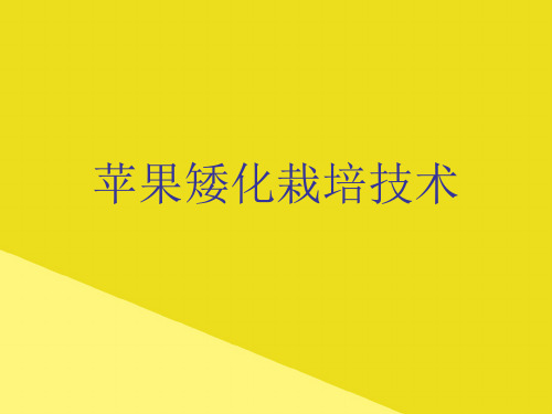 苹果矮化栽培技术PPT资料(正式版)