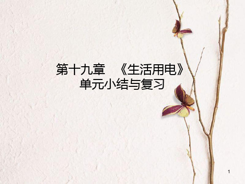 九年级物理全册 第十九章 生活用电单元小结与复习课件 (新版)新人教版.pptx
