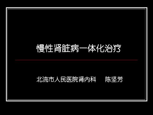 慢性肾脏病一体化治疗