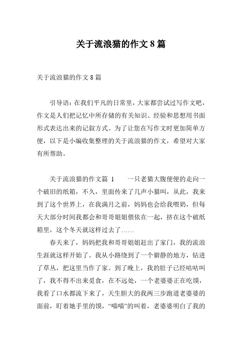 关于流浪猫的作文8篇