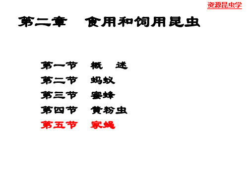 2.5.2-家蝇