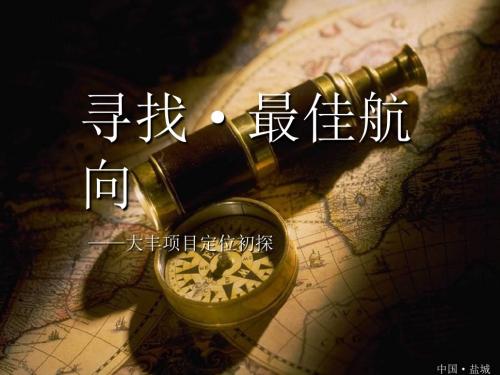 PPT文档-0721盐城大丰项目定位初探