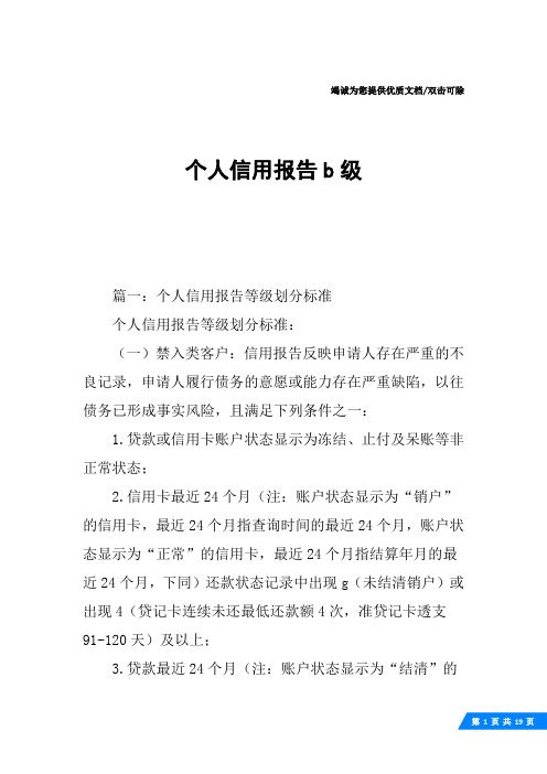 个人信用报告b级