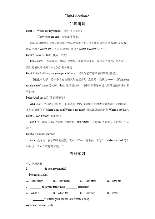 人教版英语七年级上册期末高频考点专题突破Unit4 SectionA