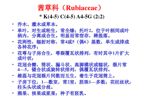 茜草科、忍冬科