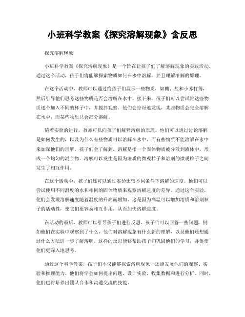 小班科学教案《探究溶解现象》含反思