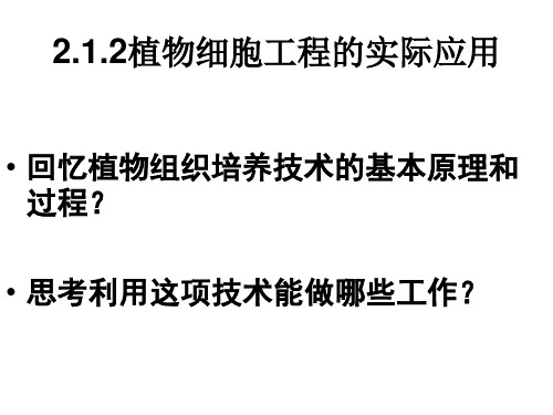 生物：2.1.2《植物细胞工程的实际应用》课件(新人教版选修3)
