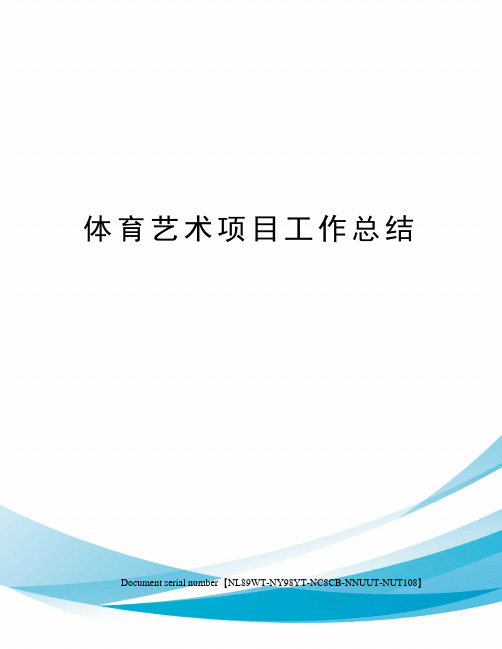 体育艺术项目工作总结完整版