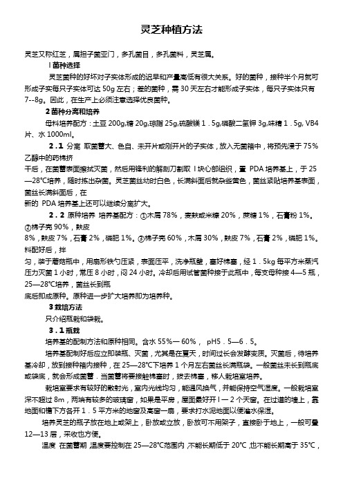 灵芝种植方法