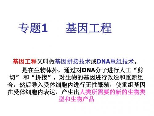 高中生物1.1DNA重组技术的基本工具课件新人教版选修3