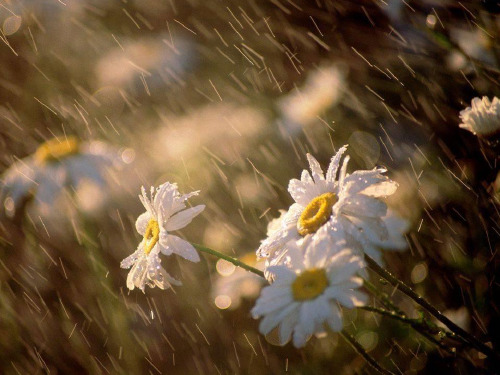 梅雨时节