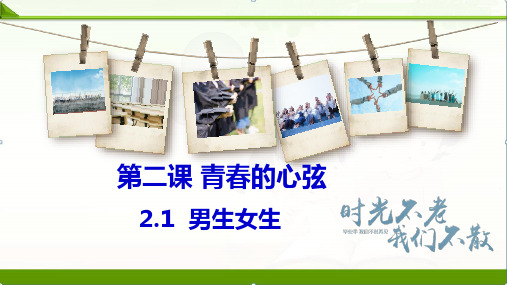 部编人教版《道德与法治》七年级下册2.1男生女生课件(共22张PPT)