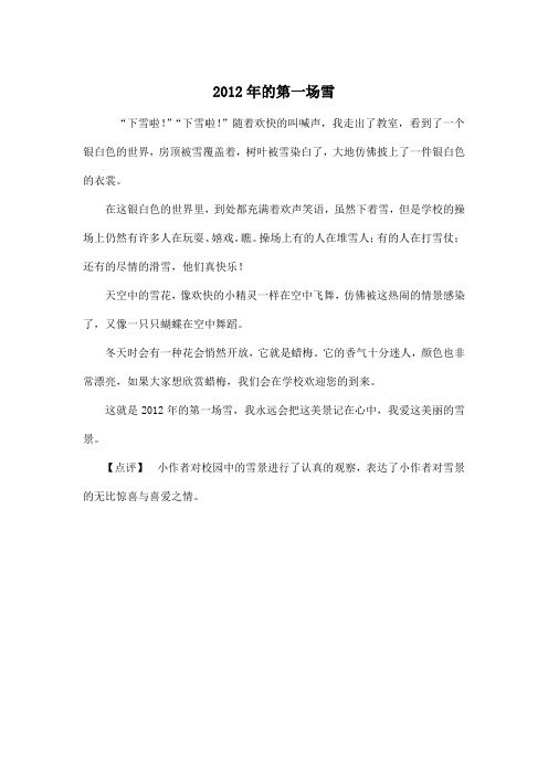 2012年的第一场雪_小学五年级作文350字