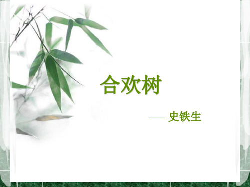 史铁生-合欢树修改版