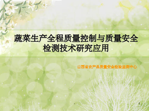 蔬菜全程质量控制 ppt