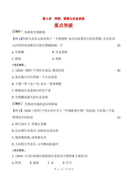 第3讲 种群、群落与生态系统 华东师大版中考科学考点突破加餐测试(自带答案)